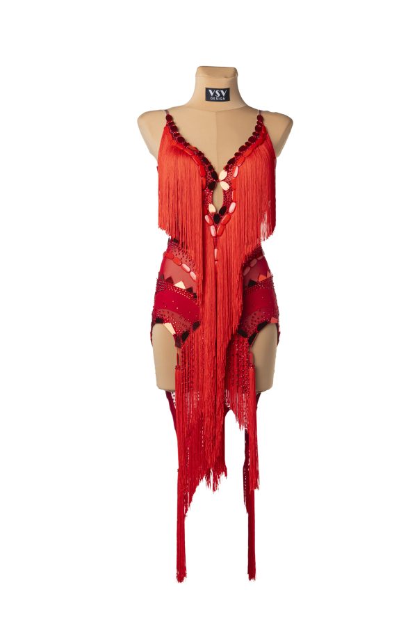 BRYANA Latin Dance Dress