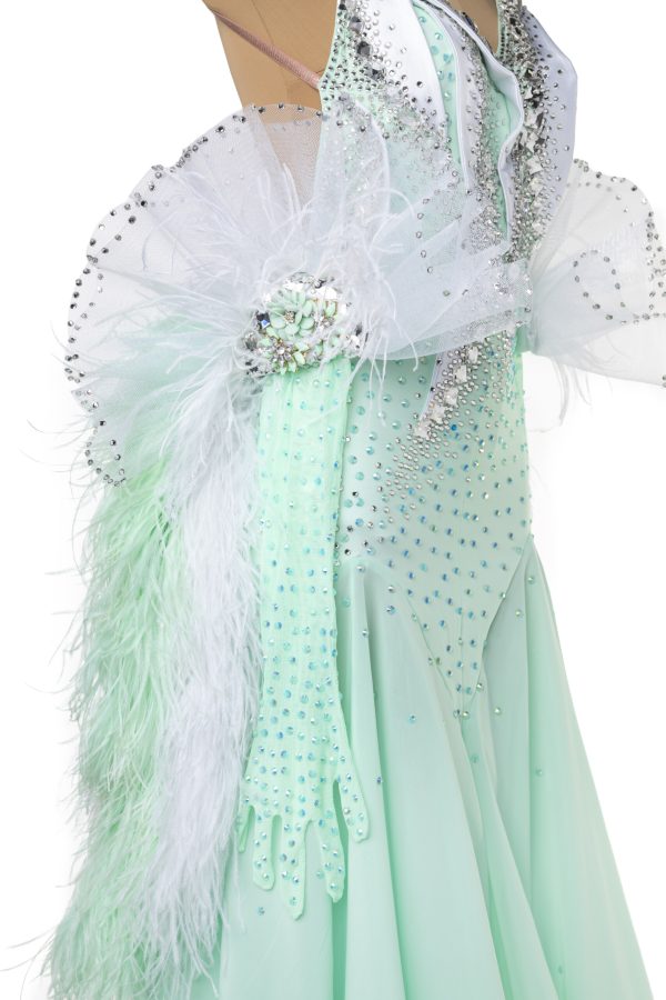 CLEMENTINE Ballroom Dance Dress - Image 2
