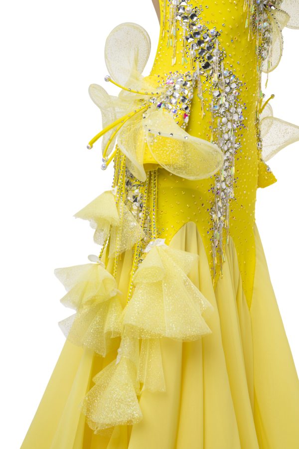 LIMA Ballroom Dance Dress - Image 2