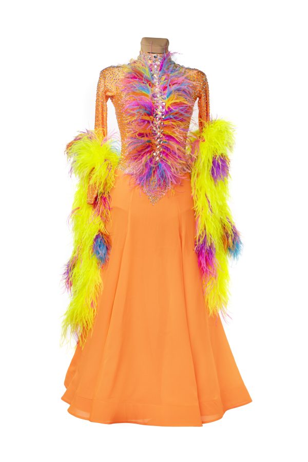 LOA Ballroom Dance Dress