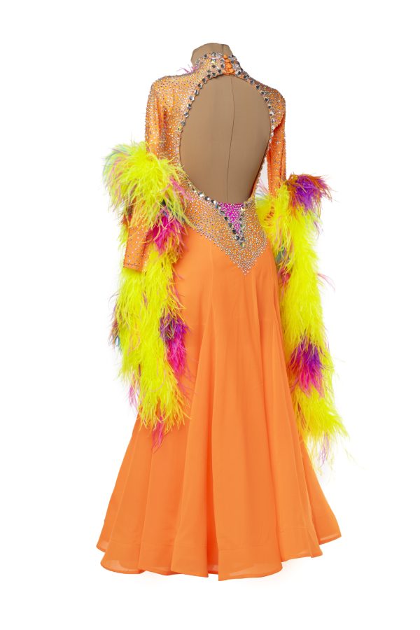 LOA Ballroom Dance Dress - Image 3