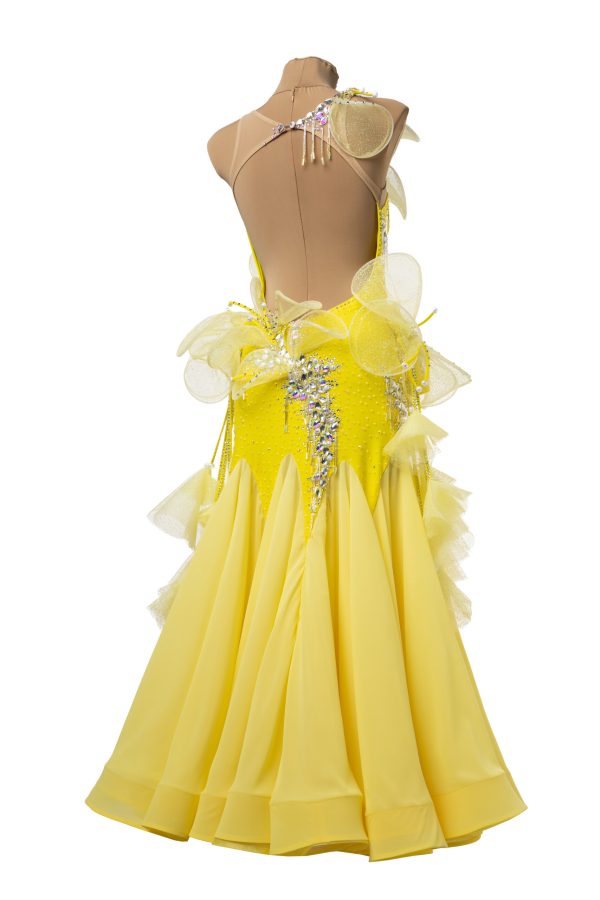 LIMA Ballroom Dance Dress - Image 3