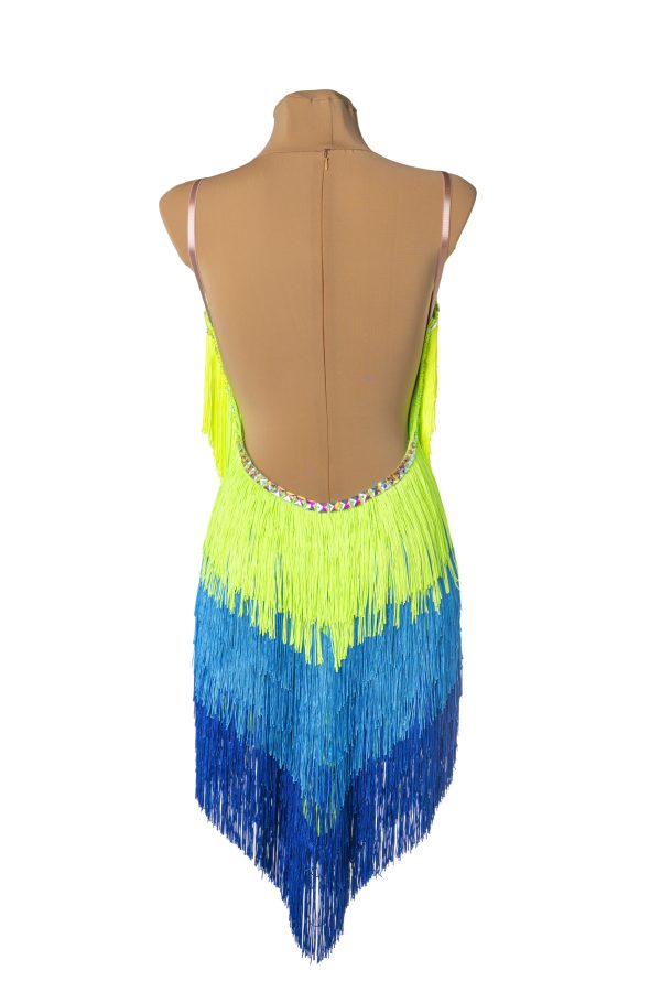 TINA Latin Dance Dress - Image 2