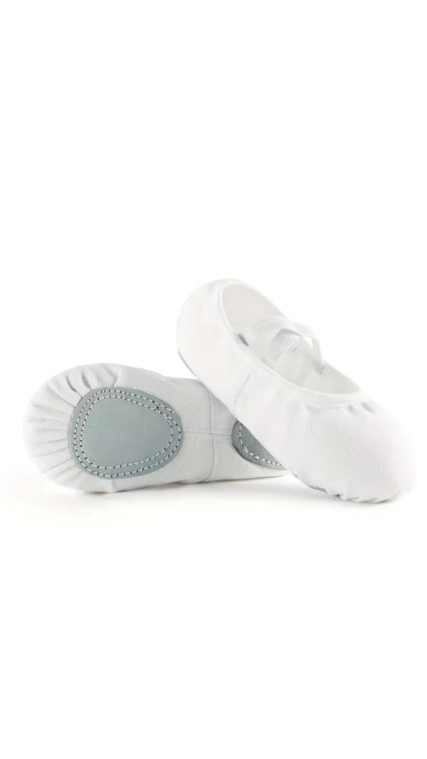 Ballet Shoes  #C252
