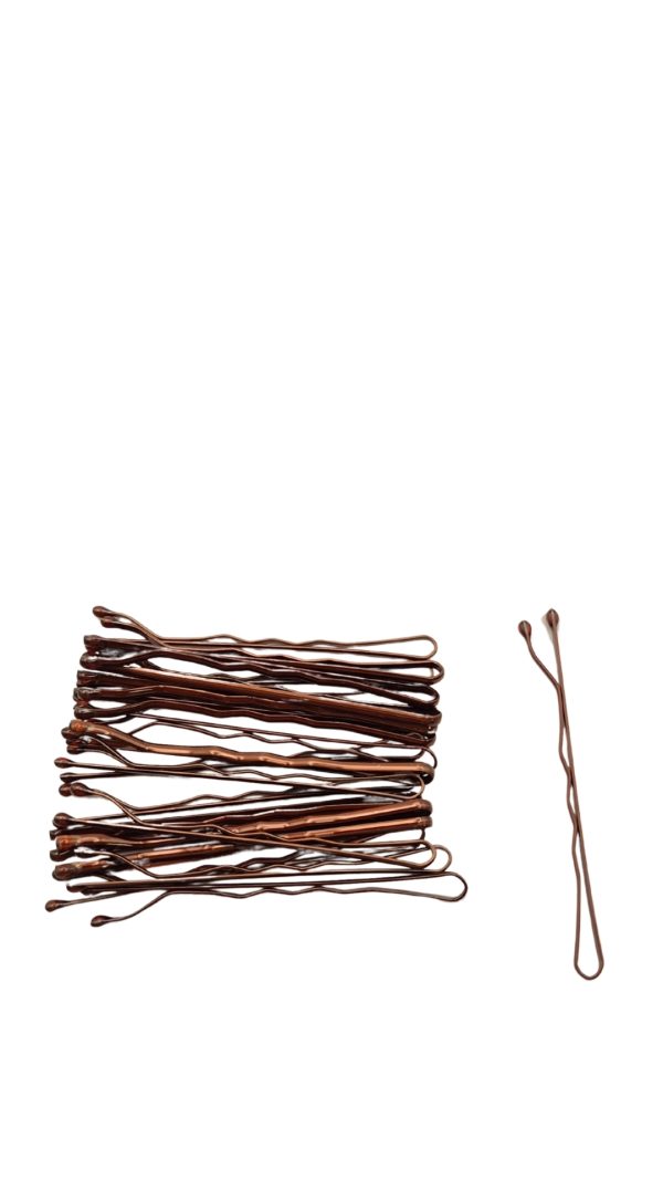 Hairpin #B205 Brown