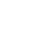 VSV Design