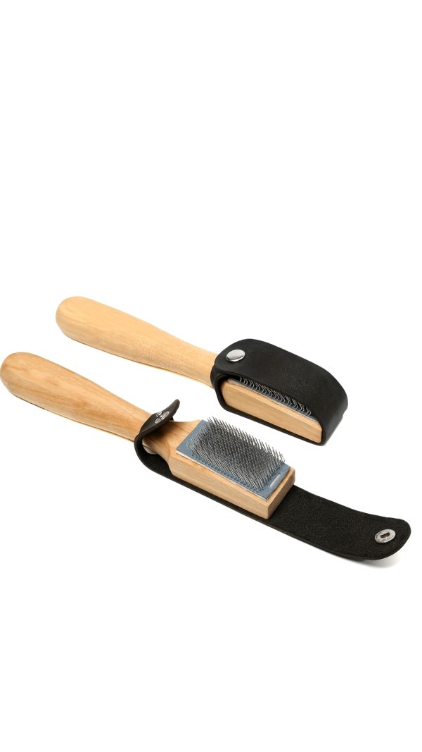 Dance shoes Brush  #A401