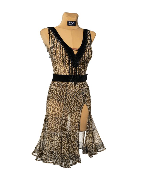 LEONELA Latin Dance Dress