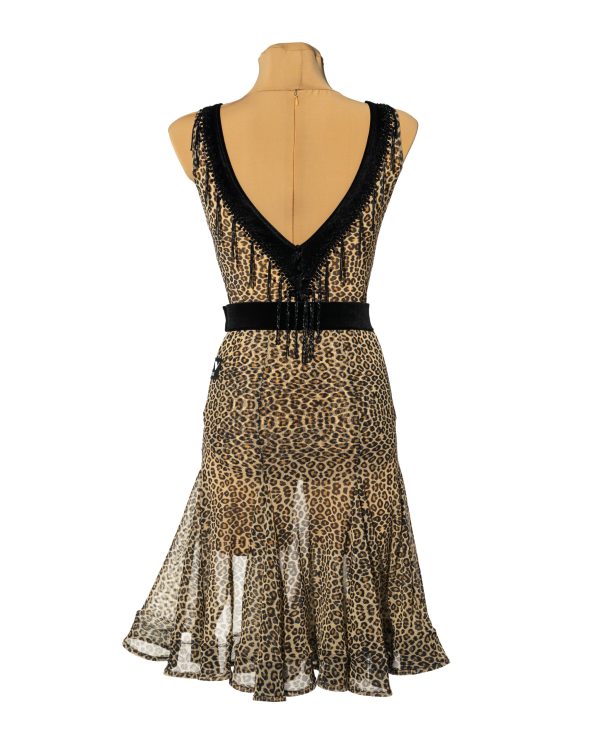 LEONELA Latin Dance Dress - Image 2